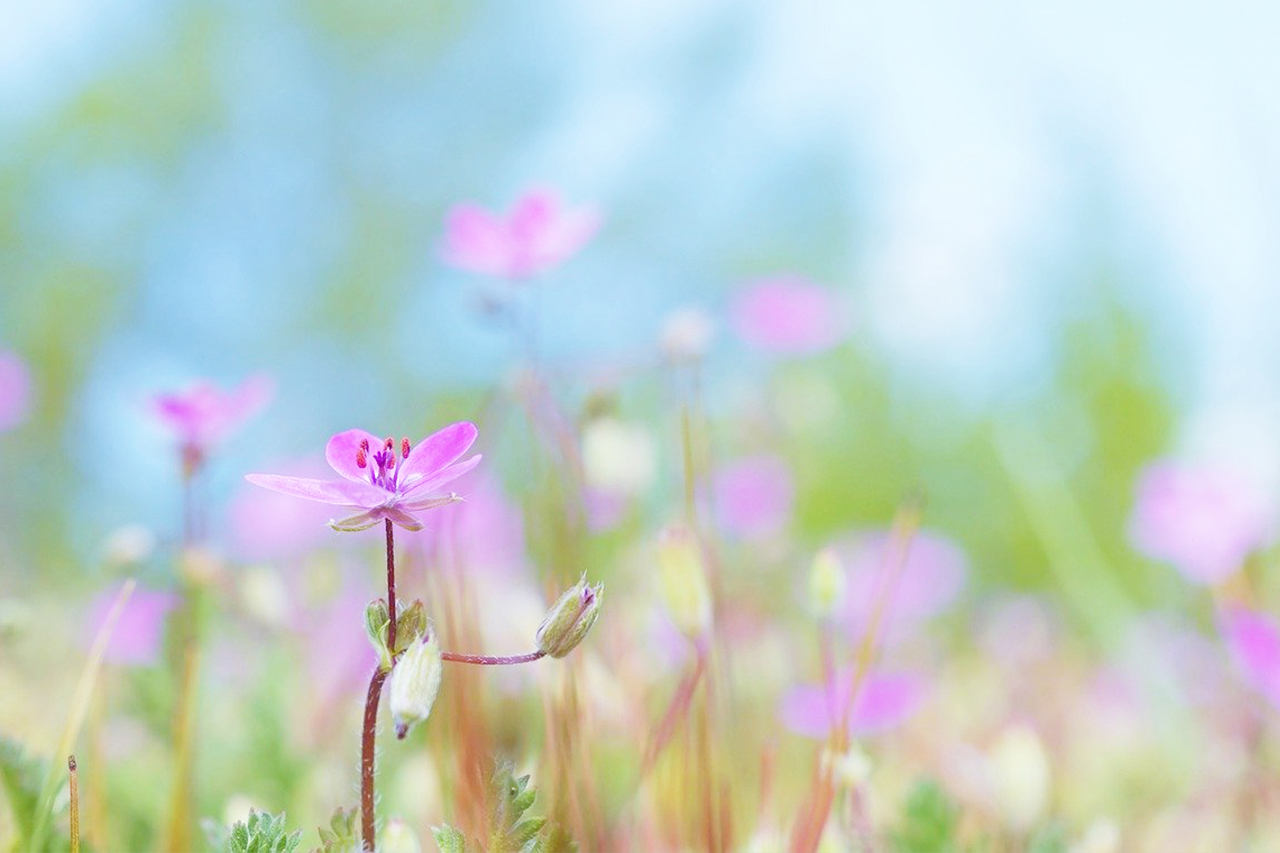 naturheilkunde-uber-s